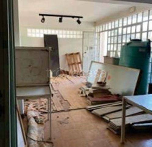 immagine annuncio 2 di 14