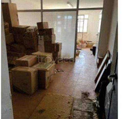 immagine annuncio 6 di 14