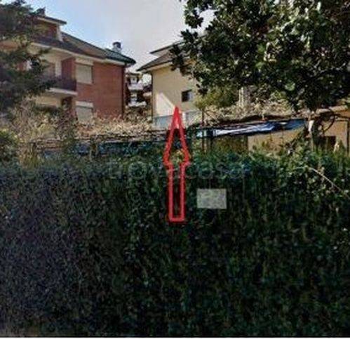 immagine annuncio 12 di 14