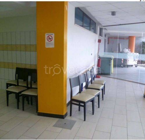 immagine annuncio 7 di 12