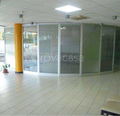 immagine annuncio 8 di 12