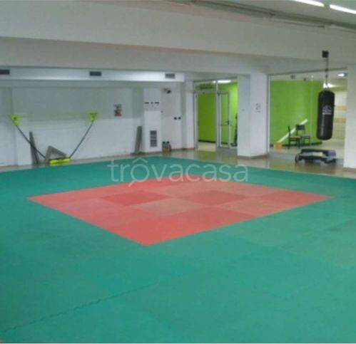 immagine annuncio 10 di 12