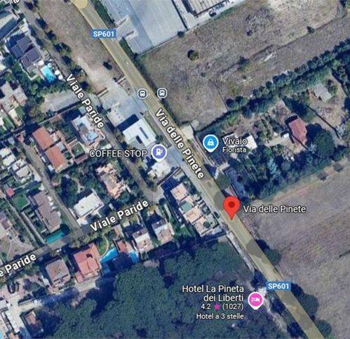 immagine annuncio 2 di 11