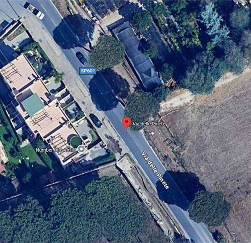 immagine annuncio 3 di 11