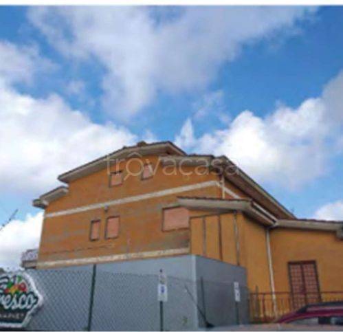 immagine annuncio 7 di 14