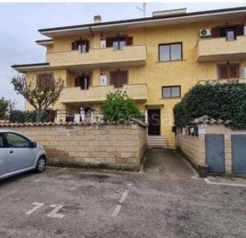 immagine annuncio 12 di 14