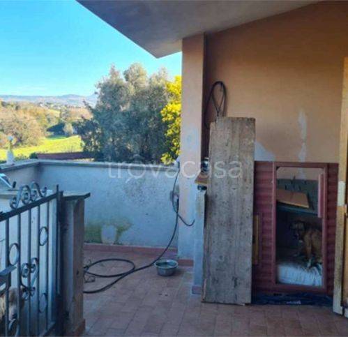 immagine annuncio 9 di 13