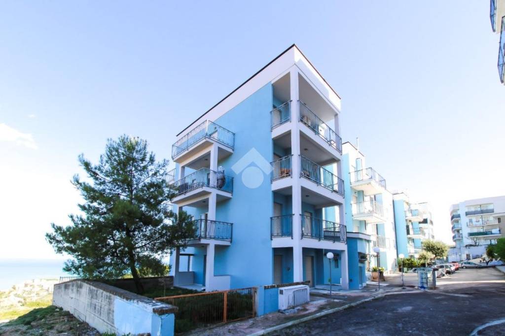 immagine annuncio 6 di 11