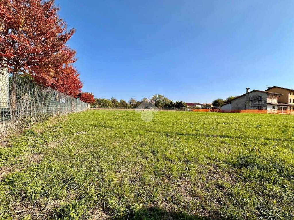 immagine annuncio 2 di 12