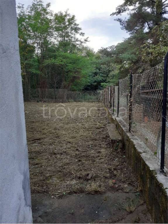 immagine annuncio 5 di 6