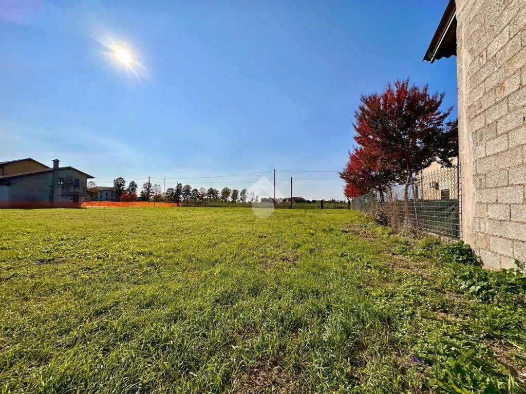 immagine annuncio 4 di 12