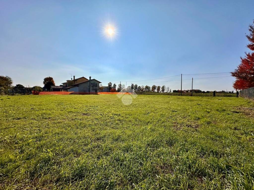 immagine annuncio 5 di 12