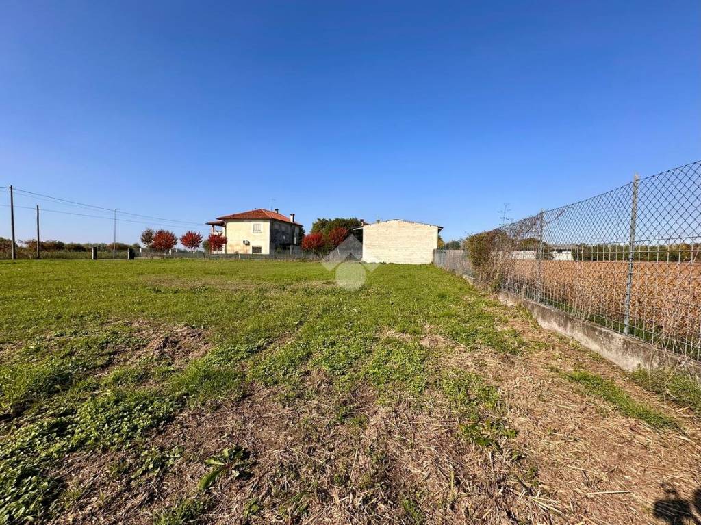 immagine annuncio 6 di 12