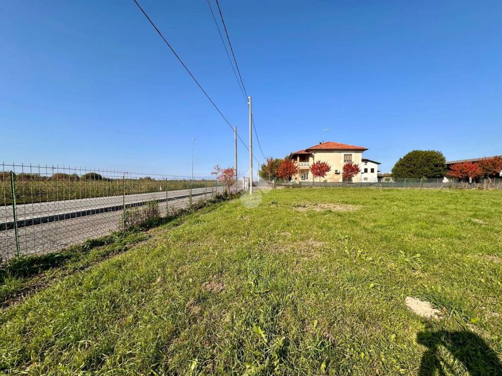 immagine annuncio 9 di 12