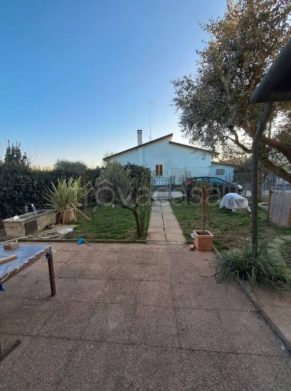 immagine annuncio 6 di 14