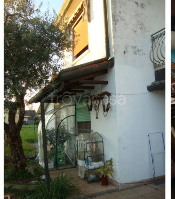 immagine annuncio 8 di 14