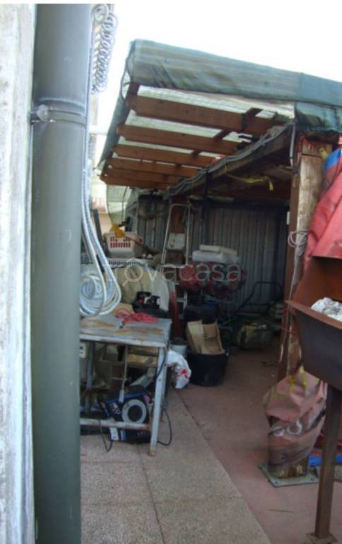 immagine annuncio 9 di 14