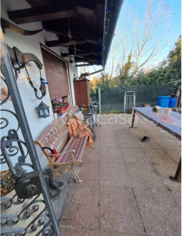 immagine annuncio 12 di 14