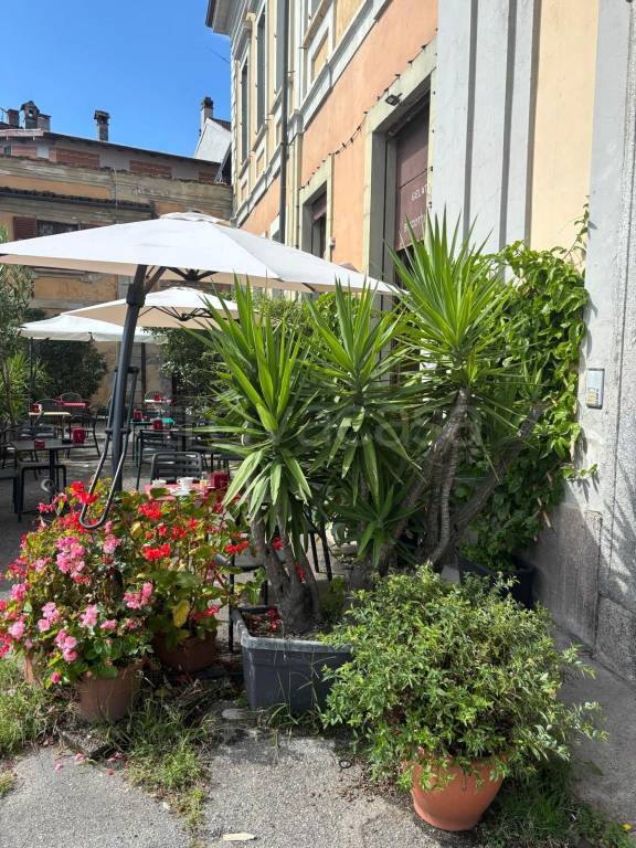 immagine annuncio 4 di 8