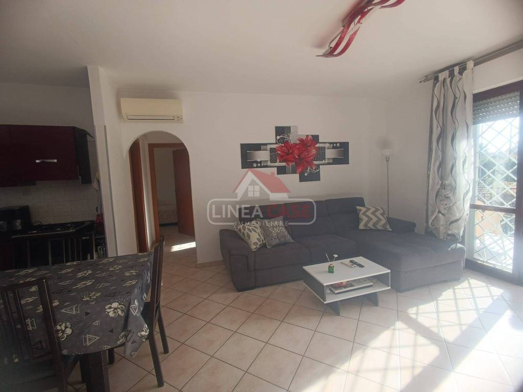 immagine annuncio 2 di 14