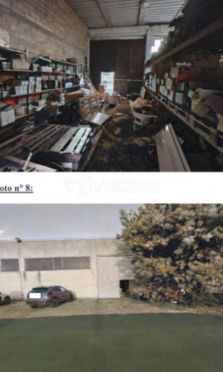 immagine annuncio 1 di 12