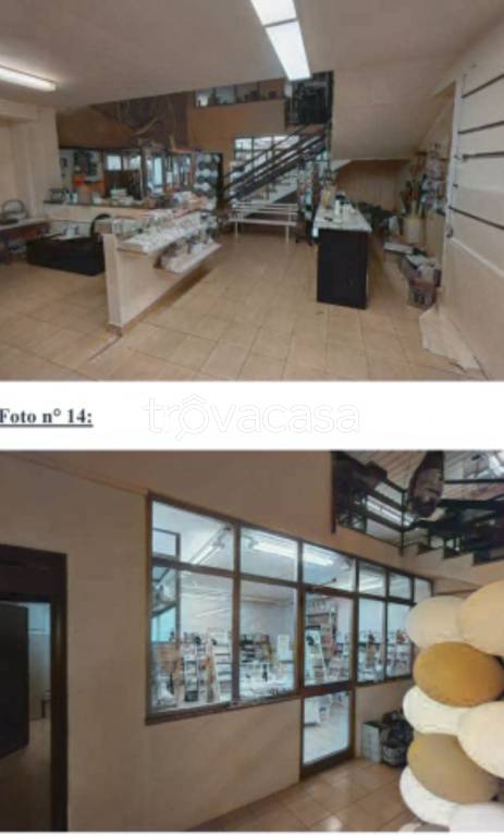 immagine annuncio 4 di 12