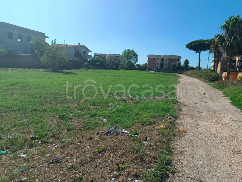 immagine annuncio 4 di 6