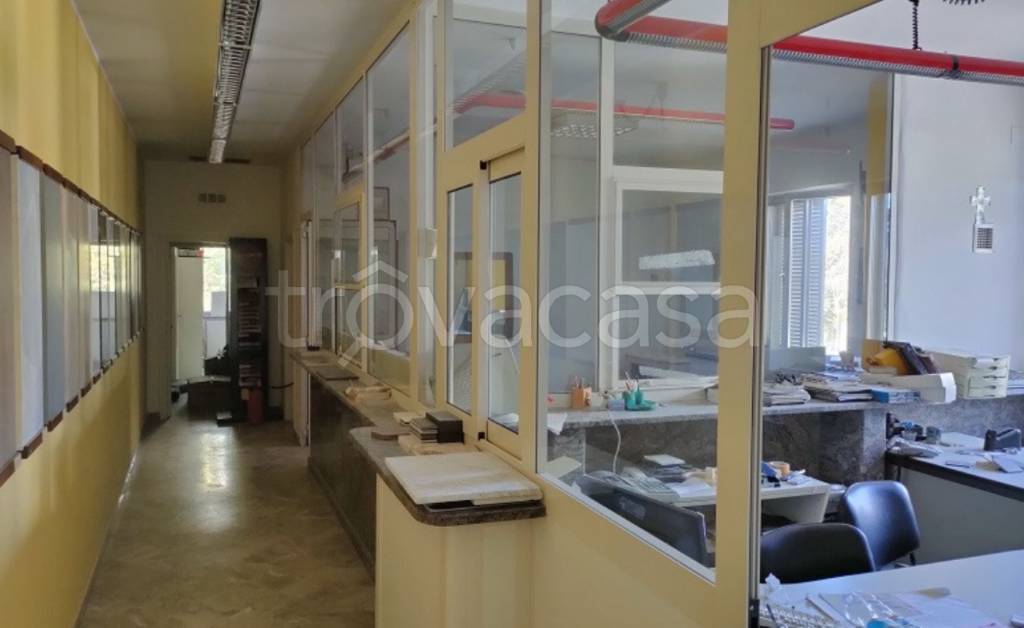 immagine annuncio 5 di 9