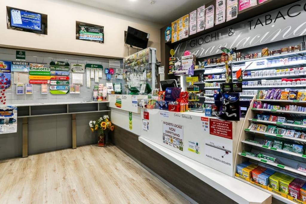 immagine annuncio 2 di 14