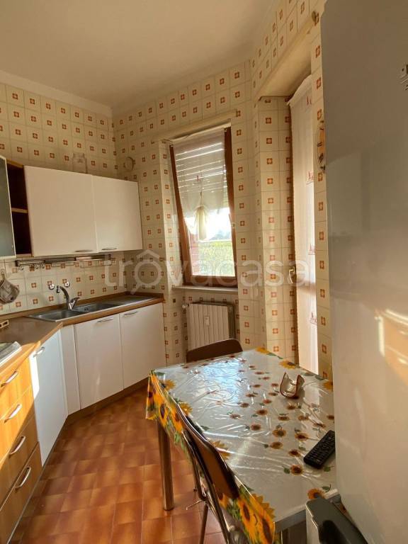 immagine annuncio 4 di 12