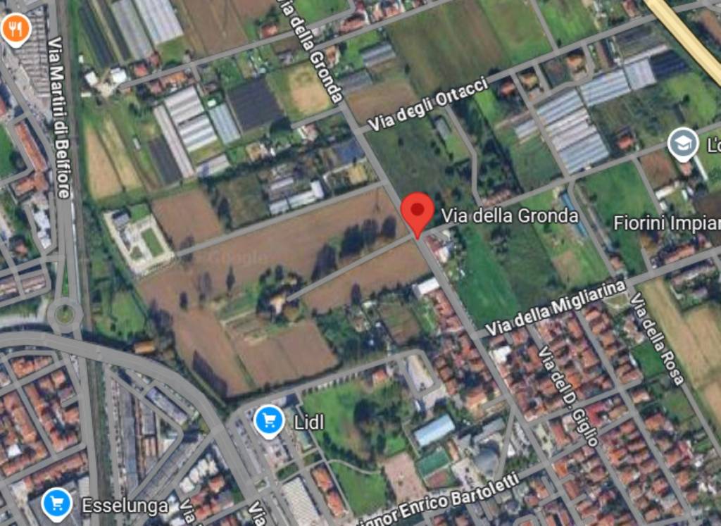 immagine annuncio 11 di 14