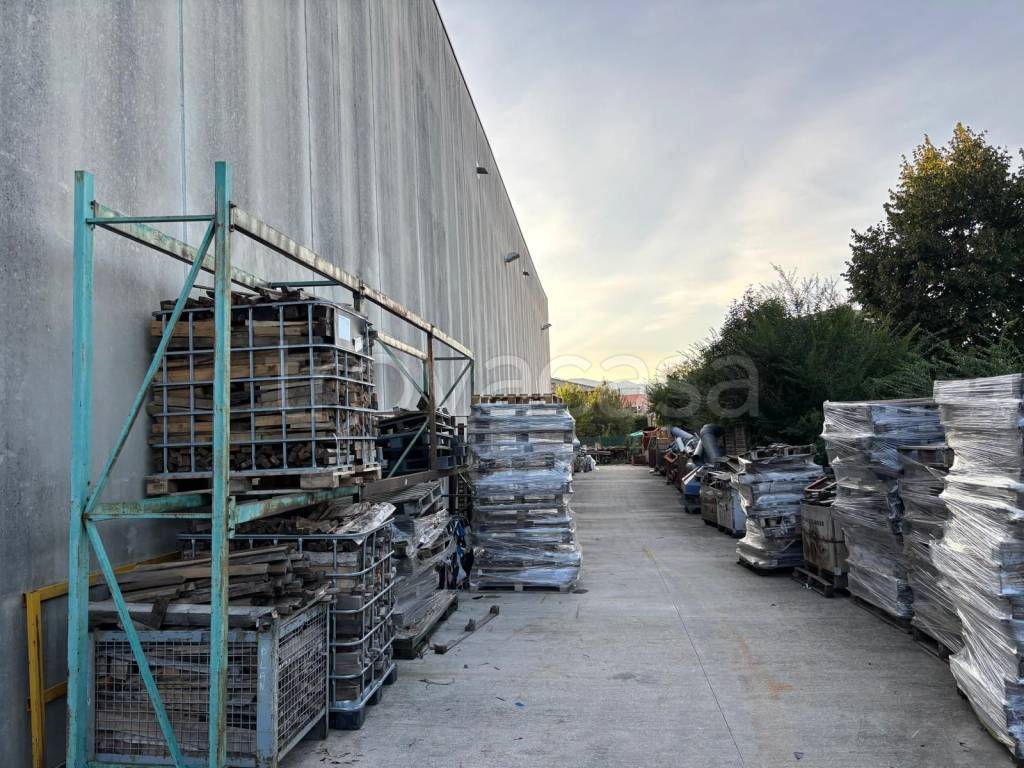 immagine annuncio 8 di 10