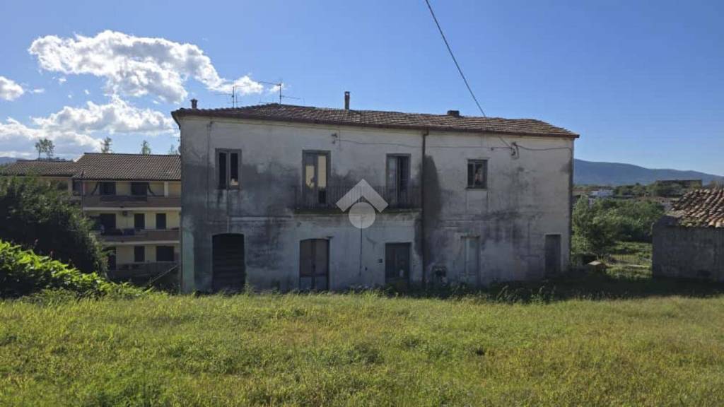 immagine annuncio 10 di 12