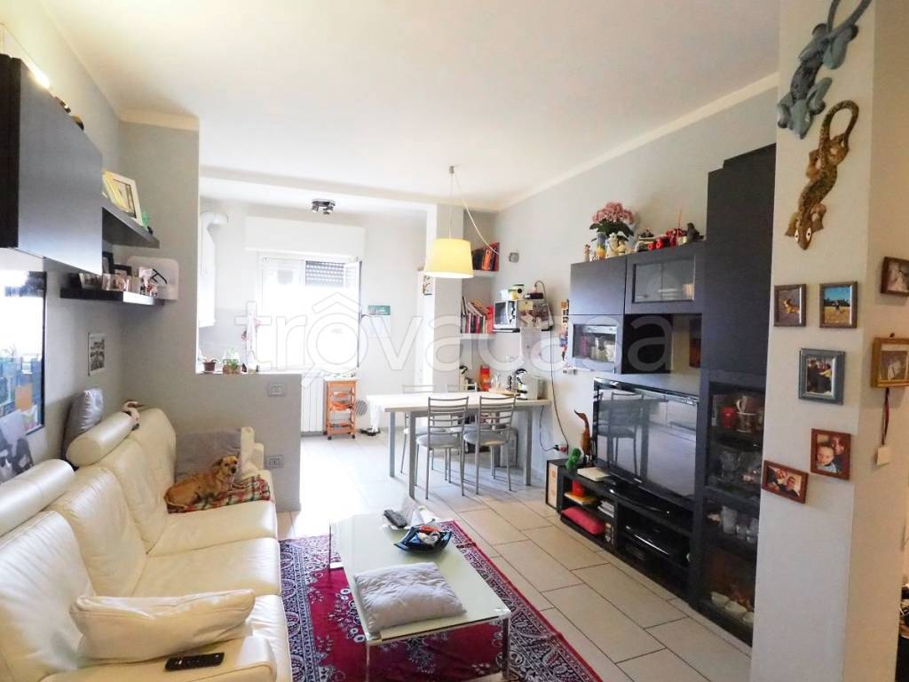 immagine annuncio 7 di 15