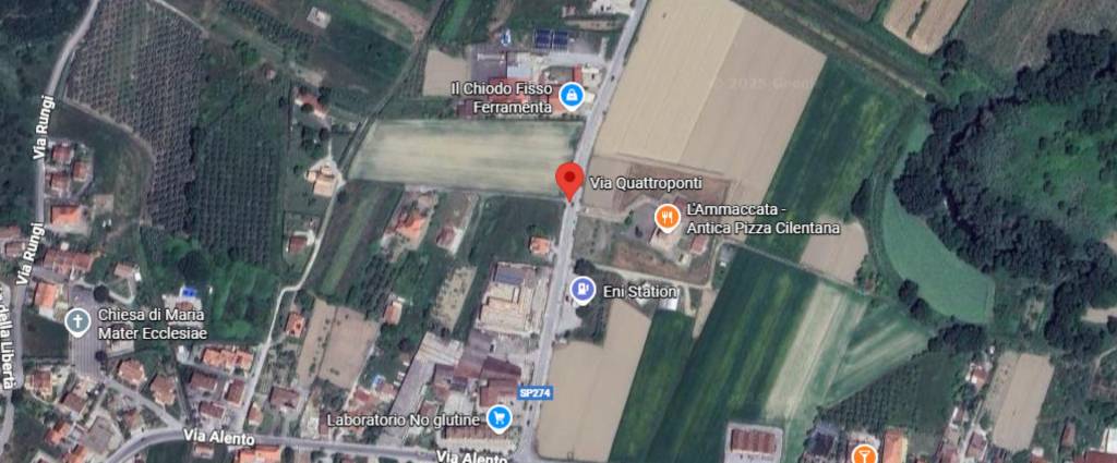 immagine annuncio 5 di 11