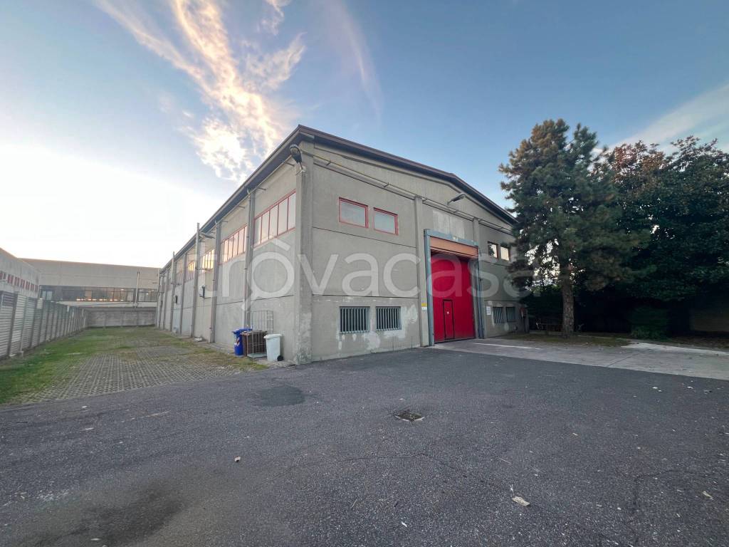 immagine annuncio 11 di 15