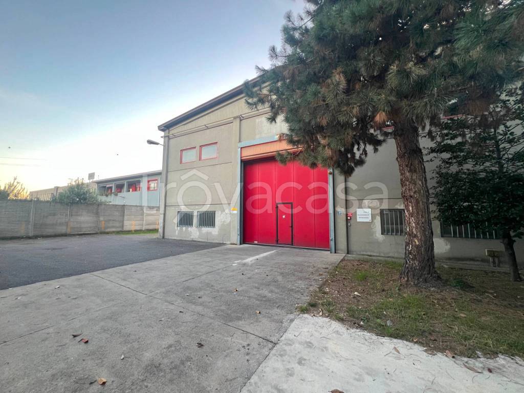 immagine annuncio 12 di 15