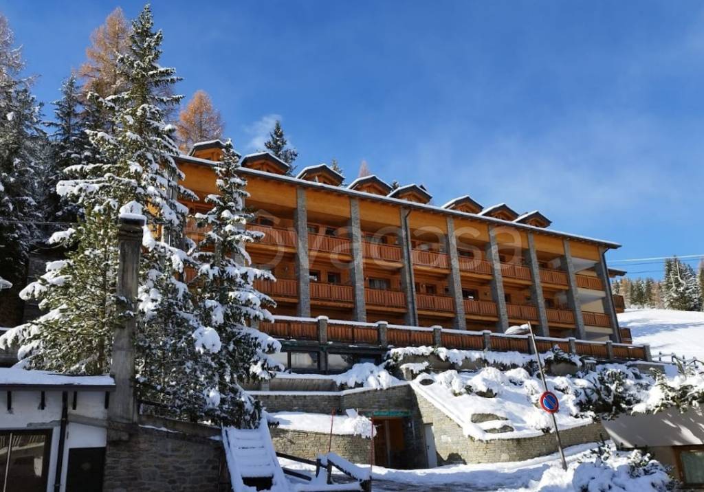 immagine annuncio 2 di 12