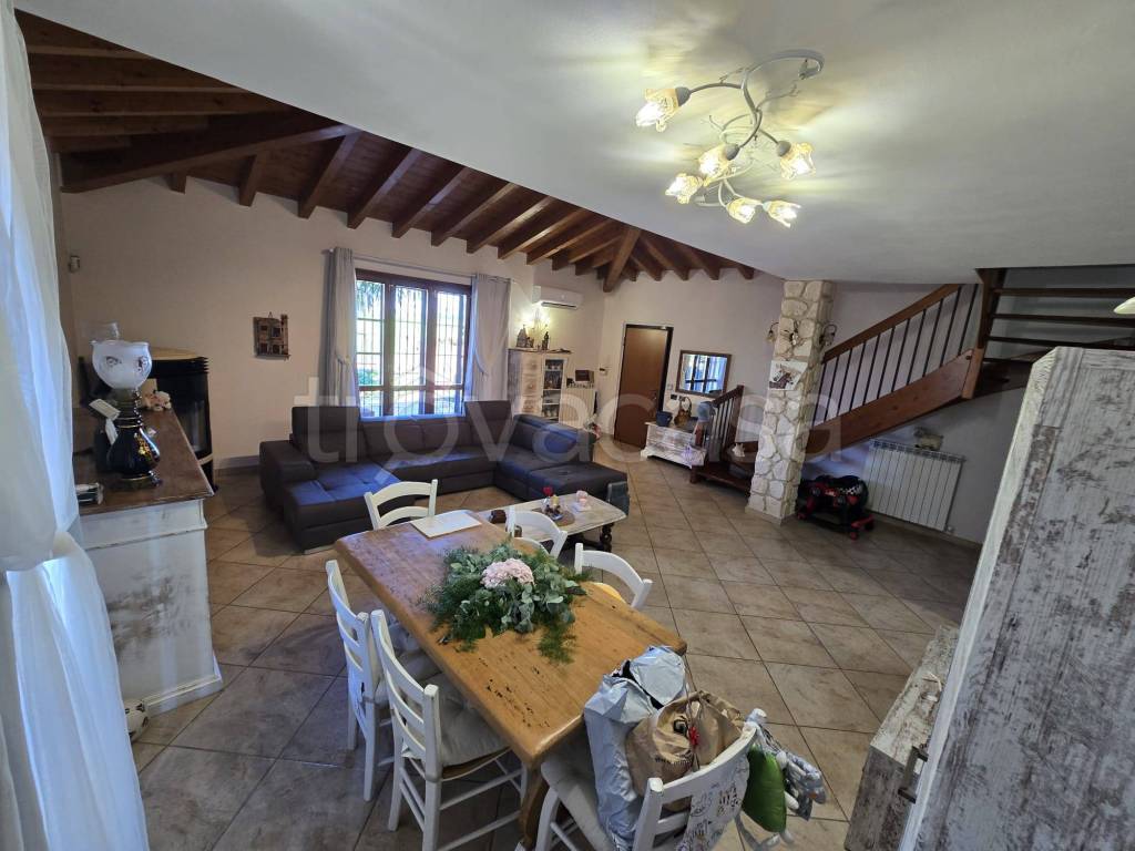 immagine annuncio 9 di 15