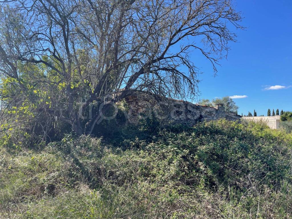 immagine annuncio 2 di 8