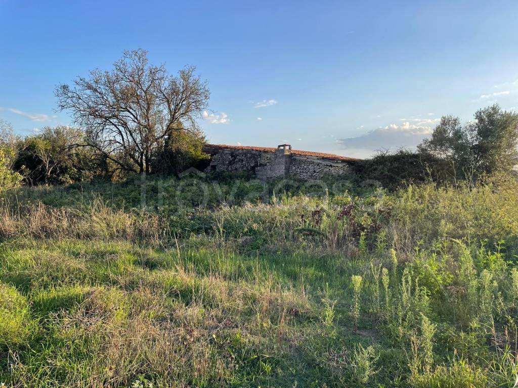 immagine annuncio 5 di 8