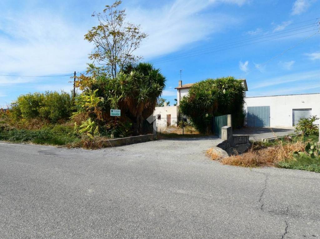 immagine annuncio 1 di 14