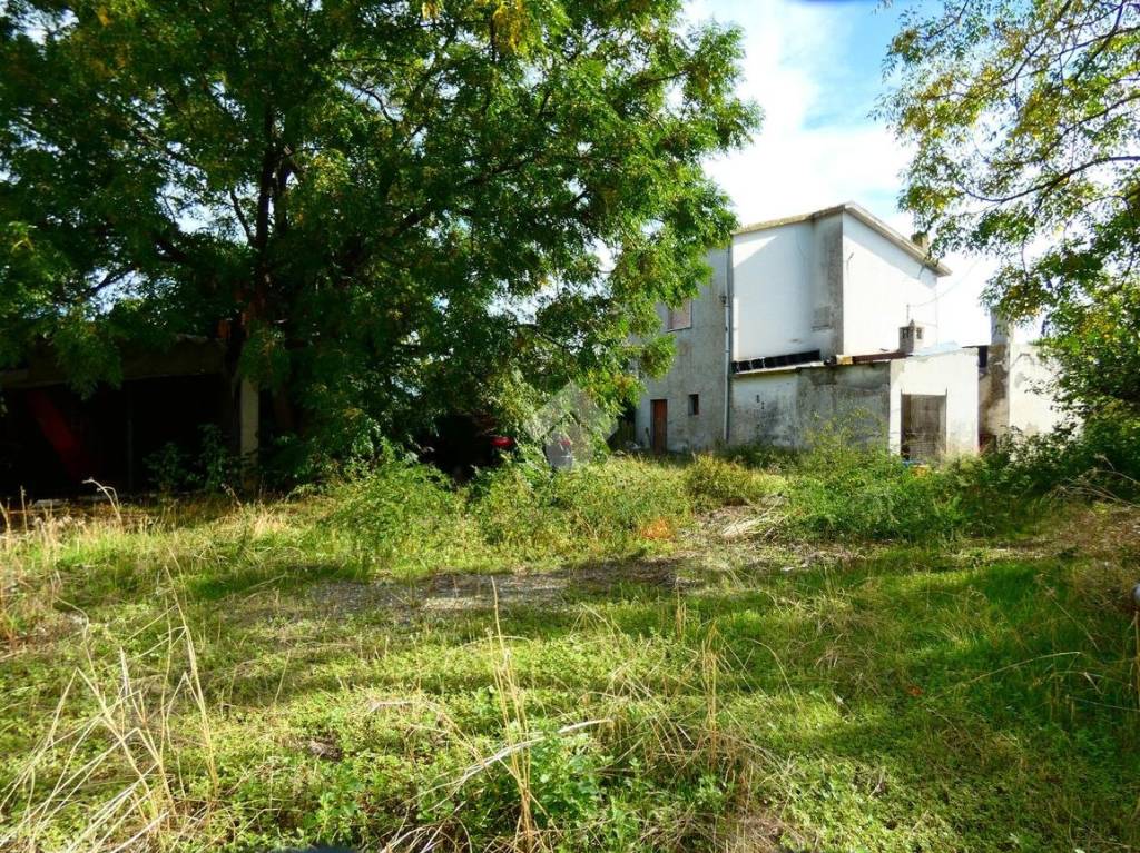 immagine annuncio 3 di 14