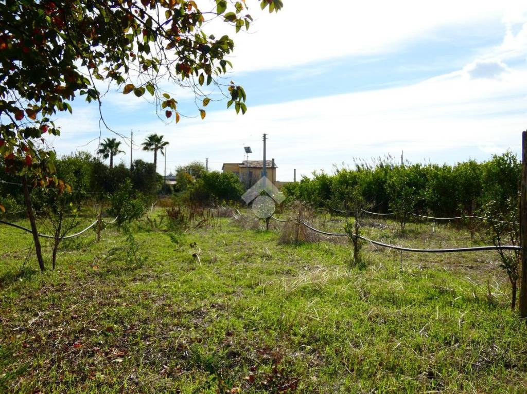 immagine annuncio 5 di 14