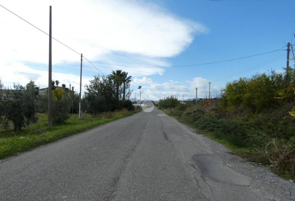 immagine annuncio 8 di 14