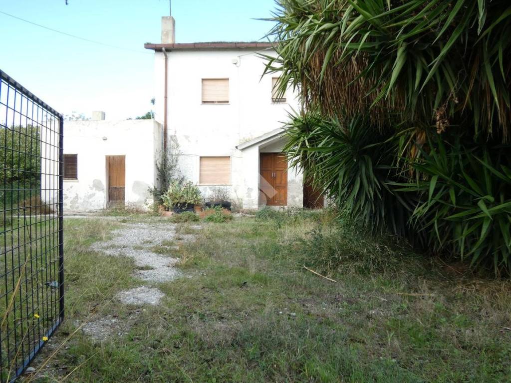 immagine annuncio 13 di 14