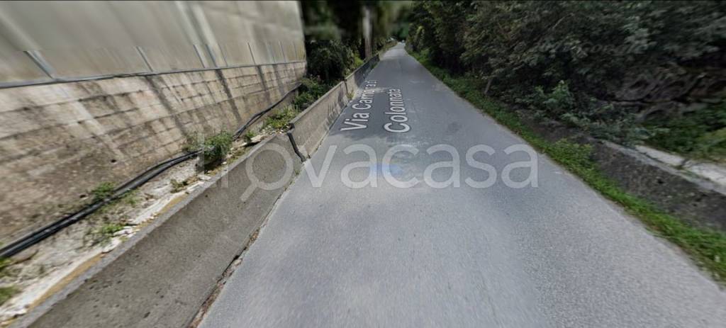 immagine annuncio 5 di 12