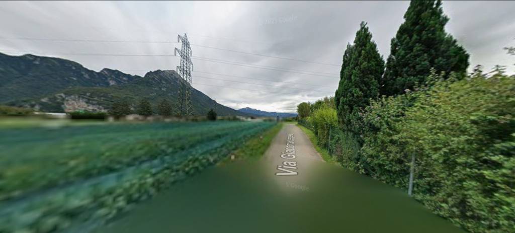 immagine annuncio 3 di 12