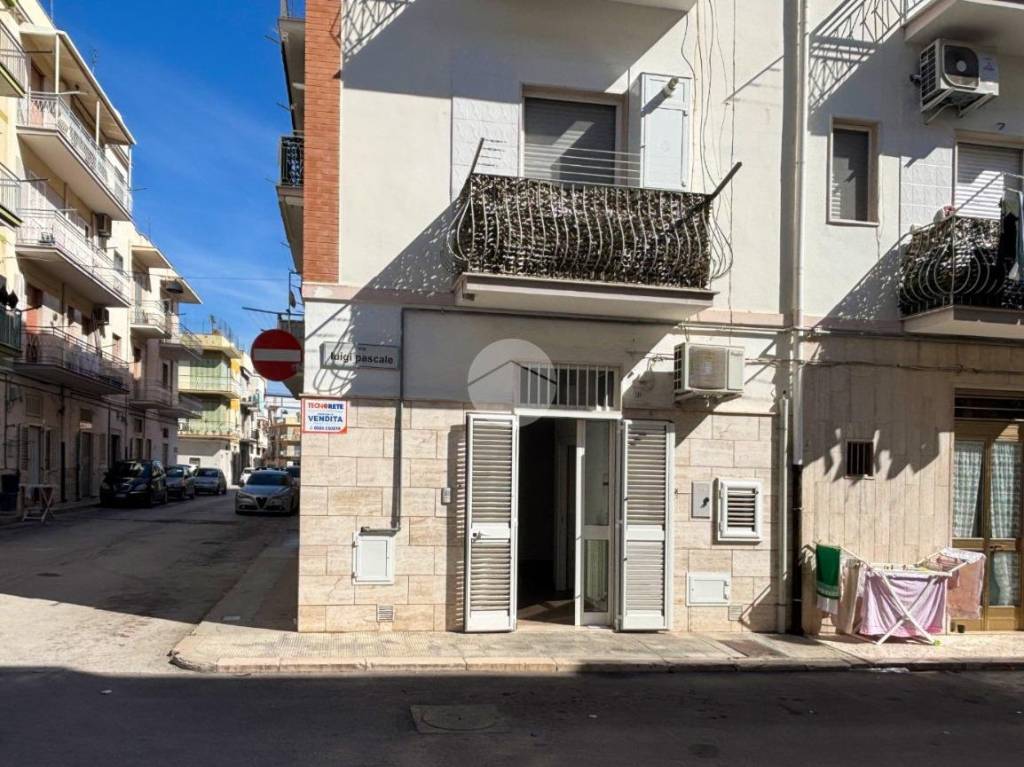 immagine annuncio 10 di 14