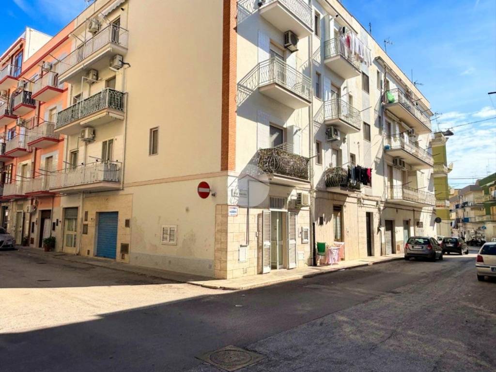 immagine annuncio 11 di 14